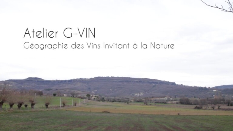 Atelier G Vin