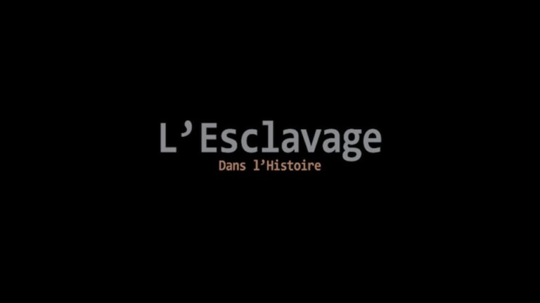 Histoire de l'esclavage