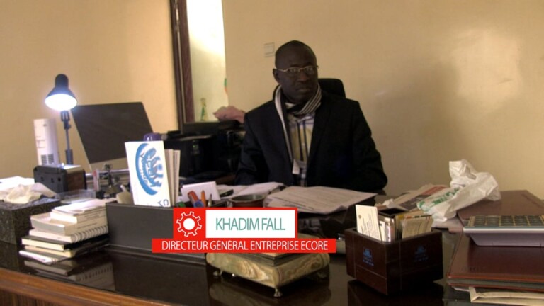 Khadim Fall, Directeur général entreprise Ecore