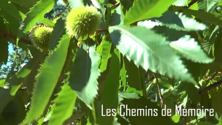 Les Chemins de Mémoire : Anette et Lucien Baconnier