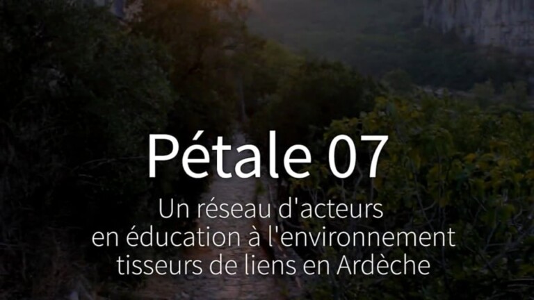 Petale 07