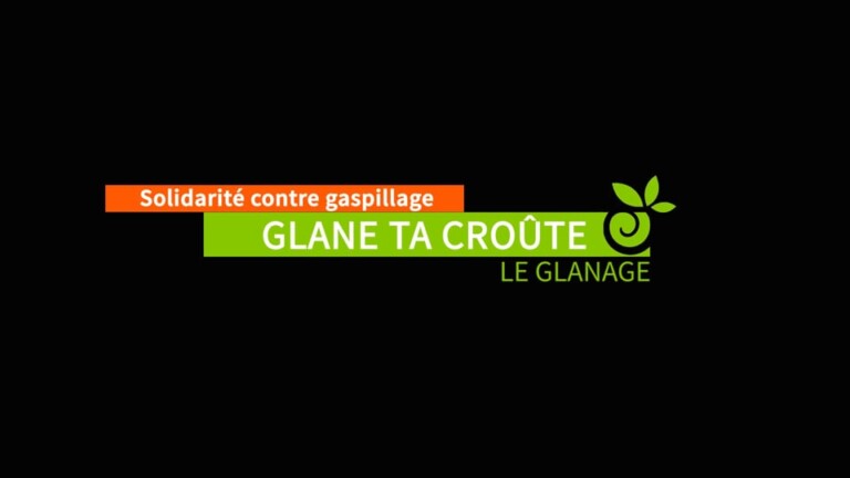 le glanage